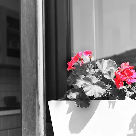Flor'alp * Samoëns